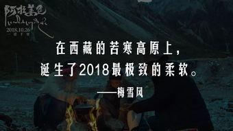 国产三级黄色毛片