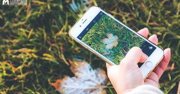 手机看片1024国产旧版,经典回忆，重温经典瞬间