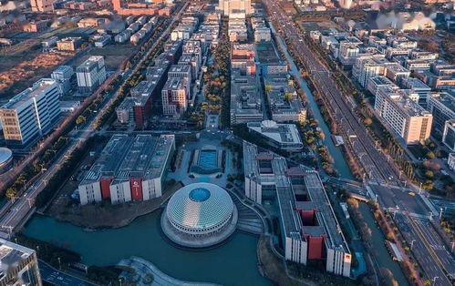 第一区国产,第一区国产生态发展概览